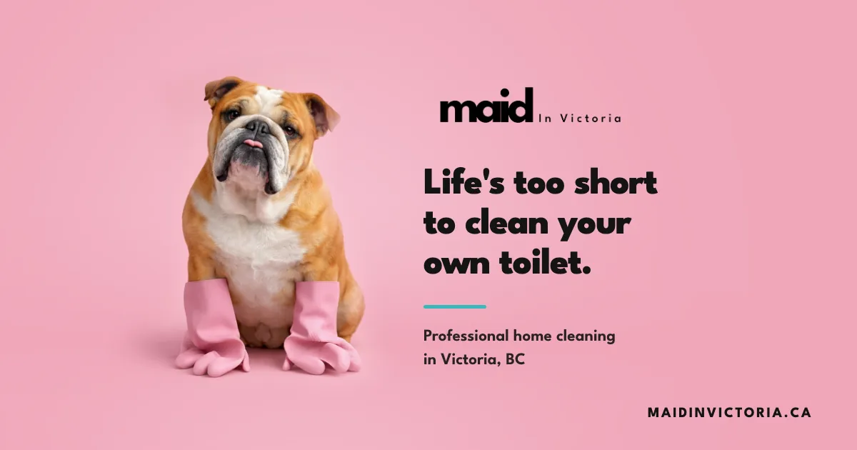 Maid in Victoria: life's too short to clean your own toilet, beside a bulldog in pink gloves