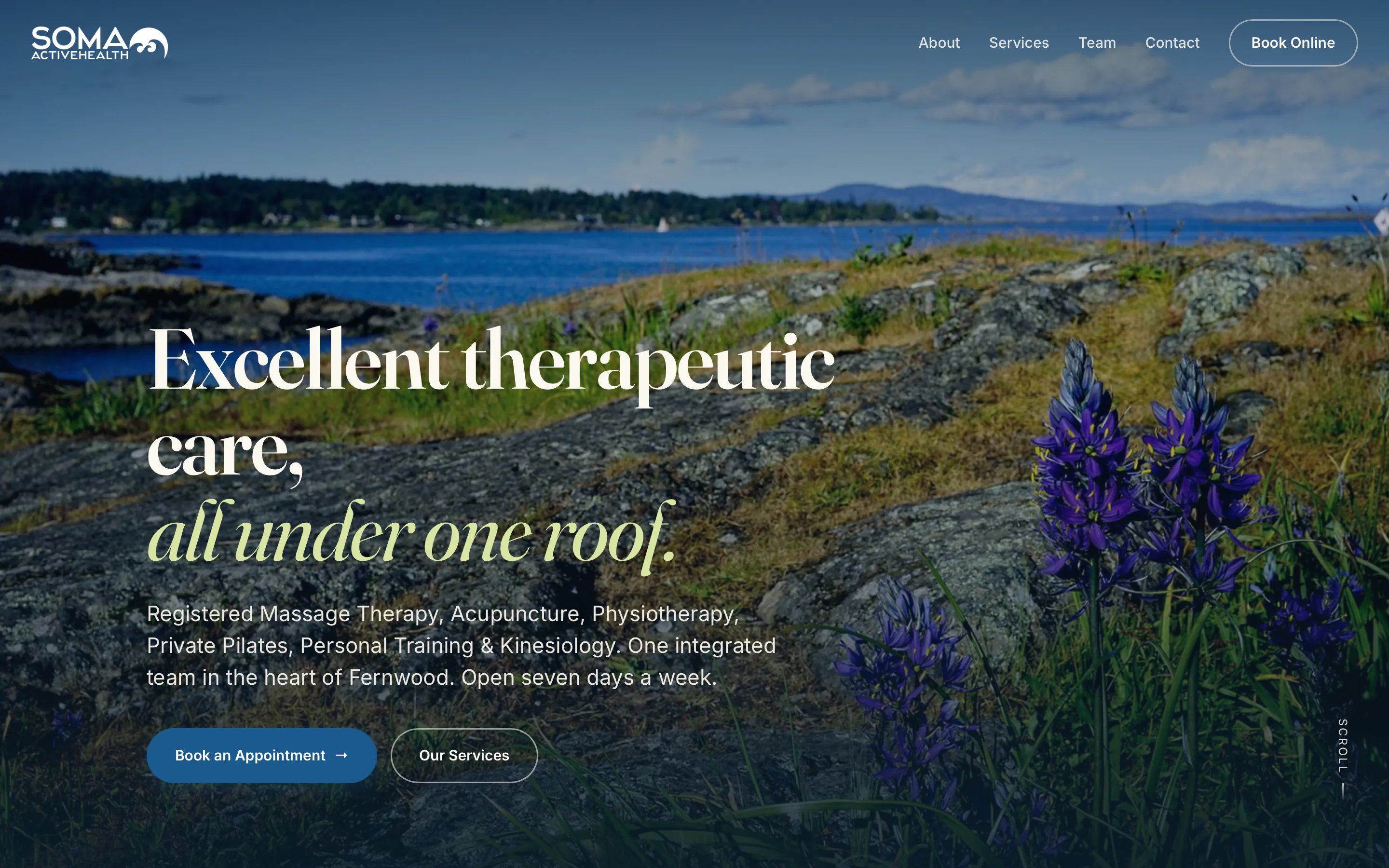 Soma Active Health website hero on desktop