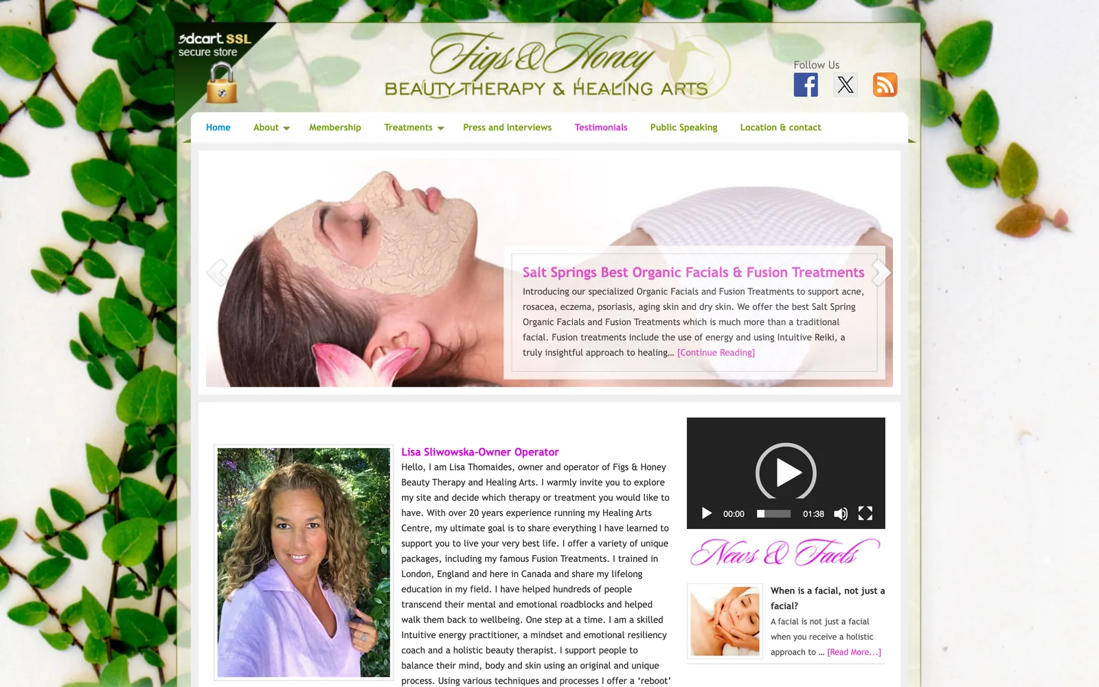 The previous Figs & Honey WordPress site
