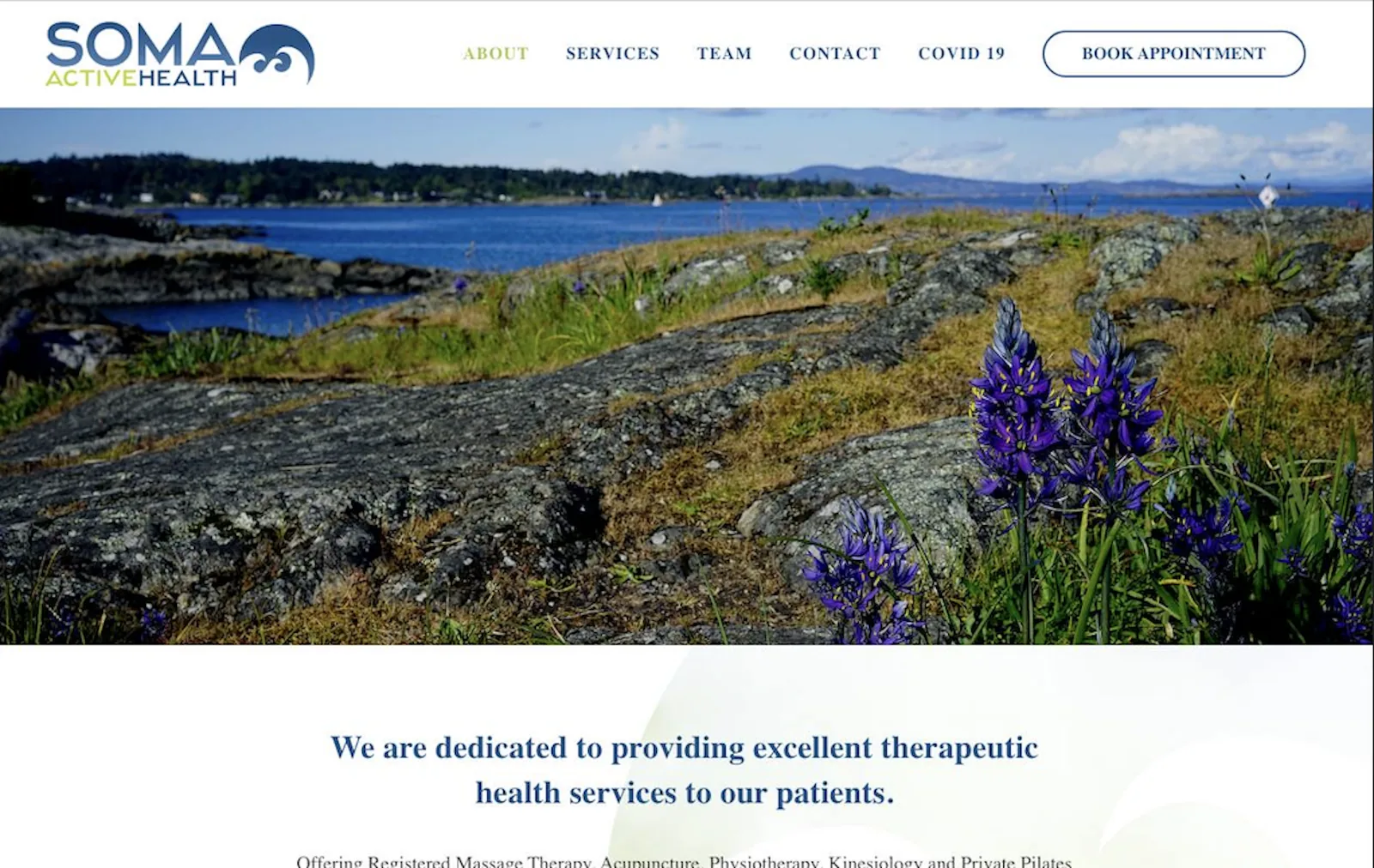 Soma Active Health's previous website homepage